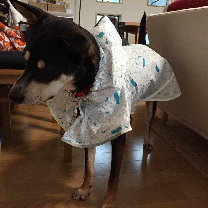 Bd9348f6 f7c7 4561 9718 300465199e7b