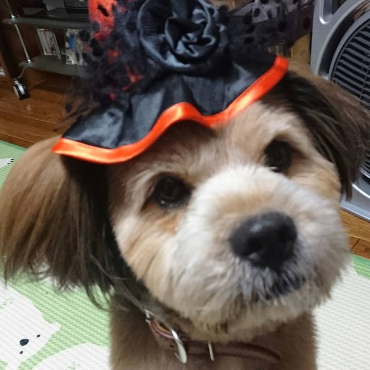 Bd941848 9331 4c01 9fc8 ea5bfc854925