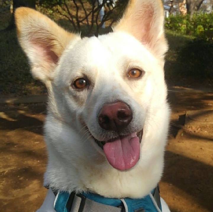 Bd94a897 b251 43be a350 aa58ea343132