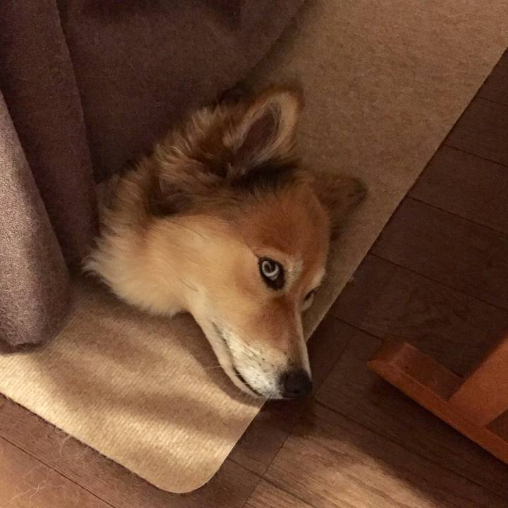 Bd94d760 ecdb 4a89 9be2 b99629584d5b