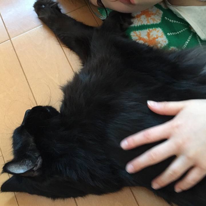 Bd956cbf 6a74 4aee a8ab 5ed079212a3e