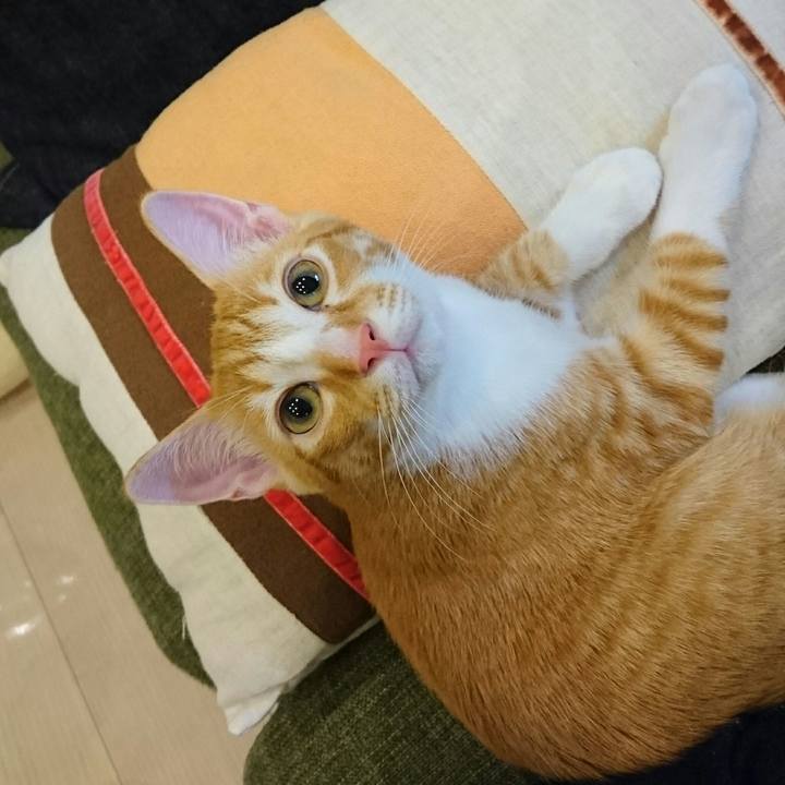 Bd957e4c db1e 427e aea5 7b2a9b88d2b0