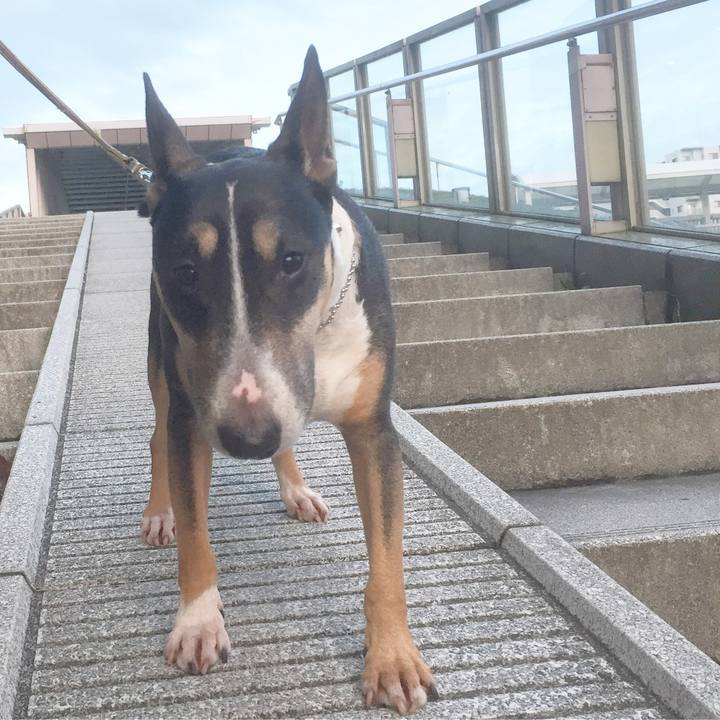 Bd958ced bd18 4a08 b7b5 182bc47bc9eb