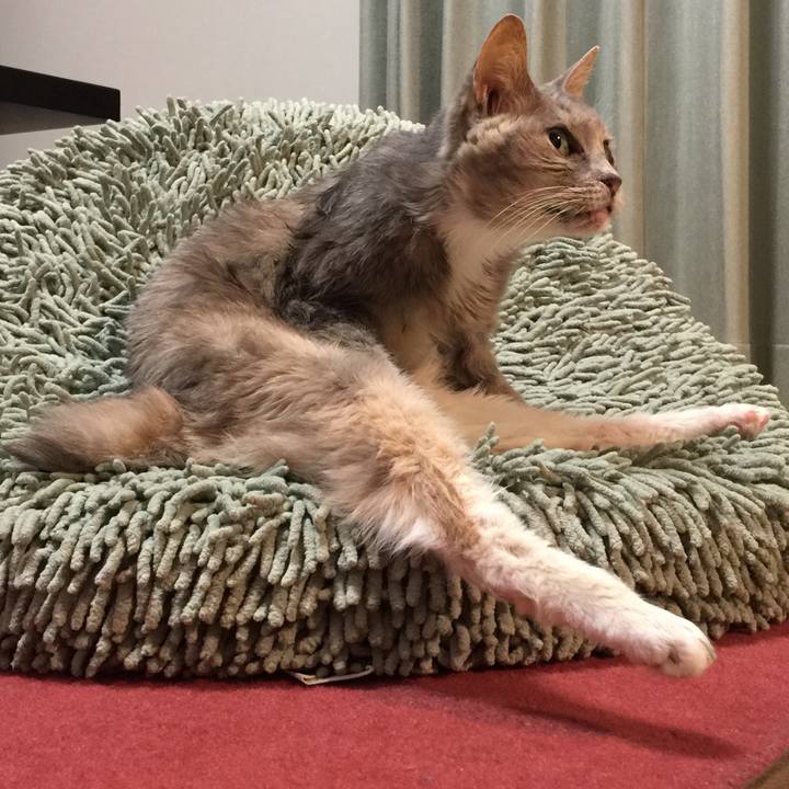 Bd95c5a2 58cf 47ba 95c8 5f32d0e4e3d5