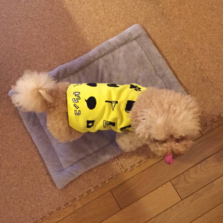 Bd95d8ea f064 460d 849d f372bcdaddff