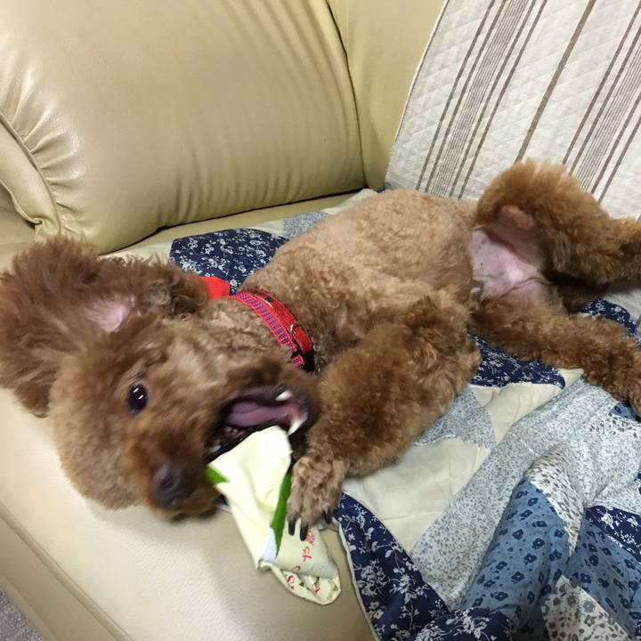 Bd95f814 9d59 48e9 8f2c d785f455eeaf