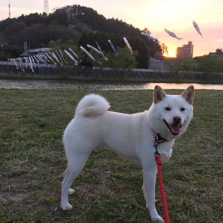 Bd966887 653d 4958 88d6 87b54c4e82cb