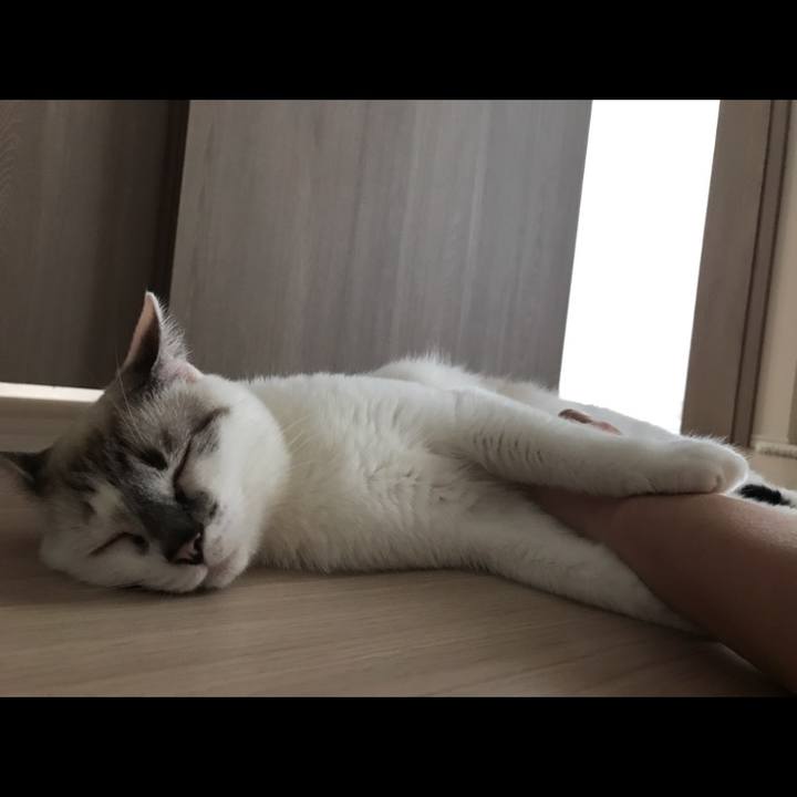 Bd966ffb 87ee 4b3b 99fb 018069911aa8