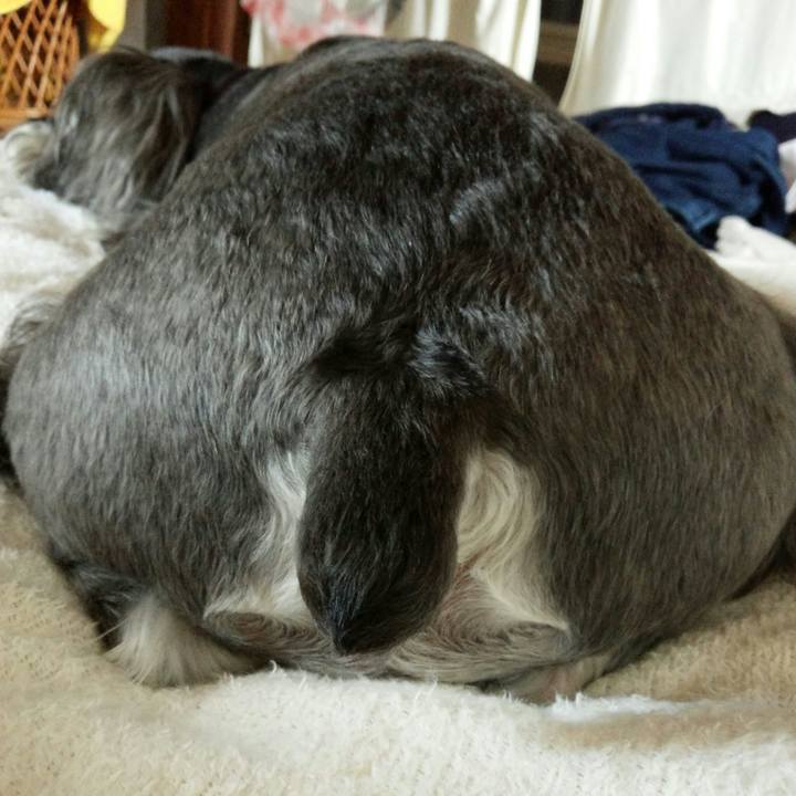 Bd978a79 8a6b 4a54 a90f ae7a68489a9b