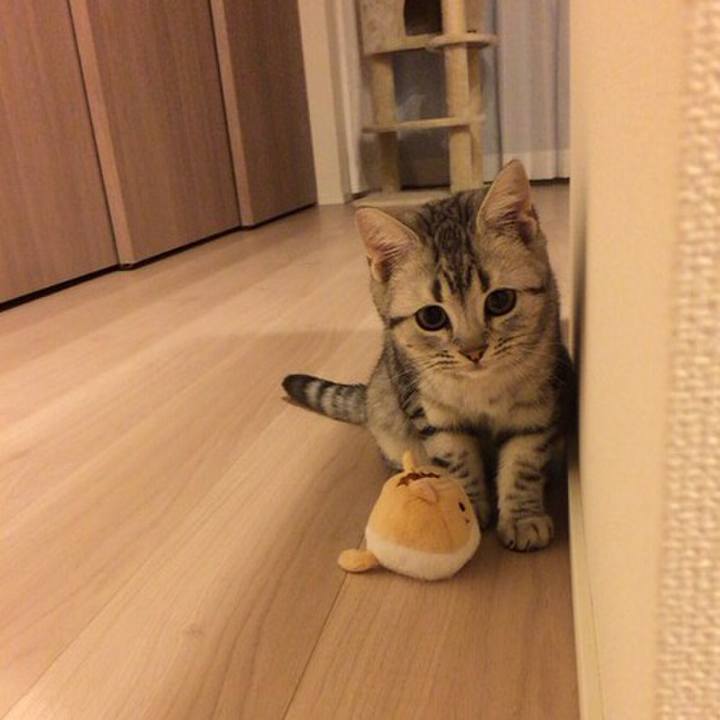 Bd97f3a9 f072 4249 a48b c5c1a0a6224f