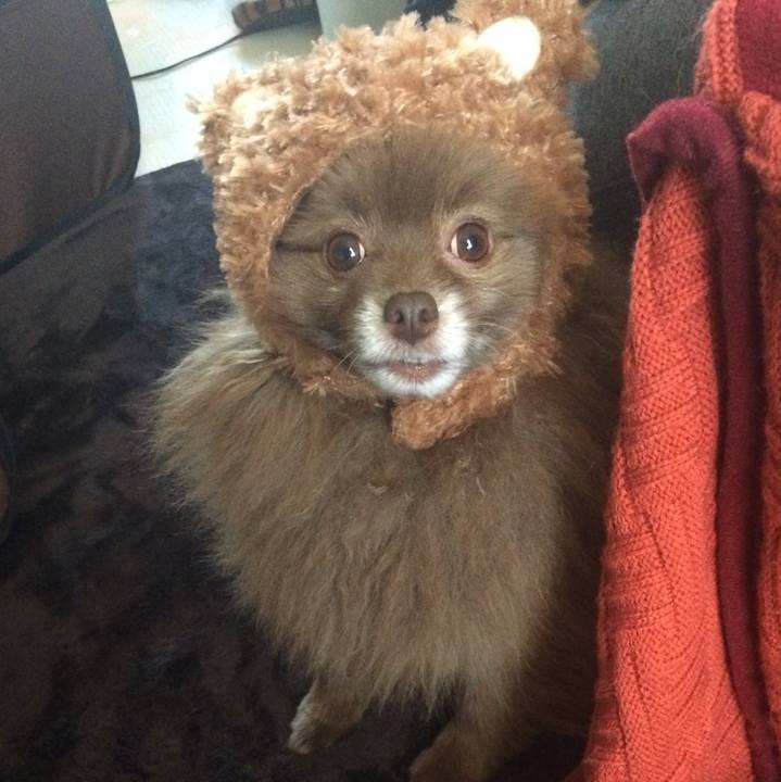 Bd98bc75 9cec 44f0 ab1c bc73e43c3e58