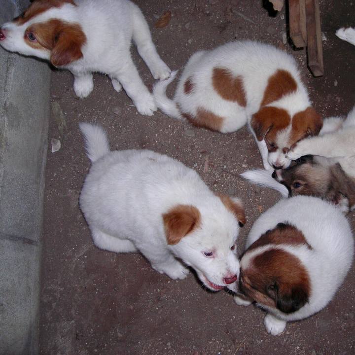 Bd9971d4 f9b6 48a9 9b77 3e71105b1ca8