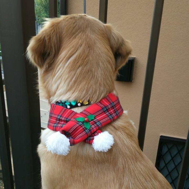 Bd997fcc 6bf2 4453 a585 cfcdec4c7296