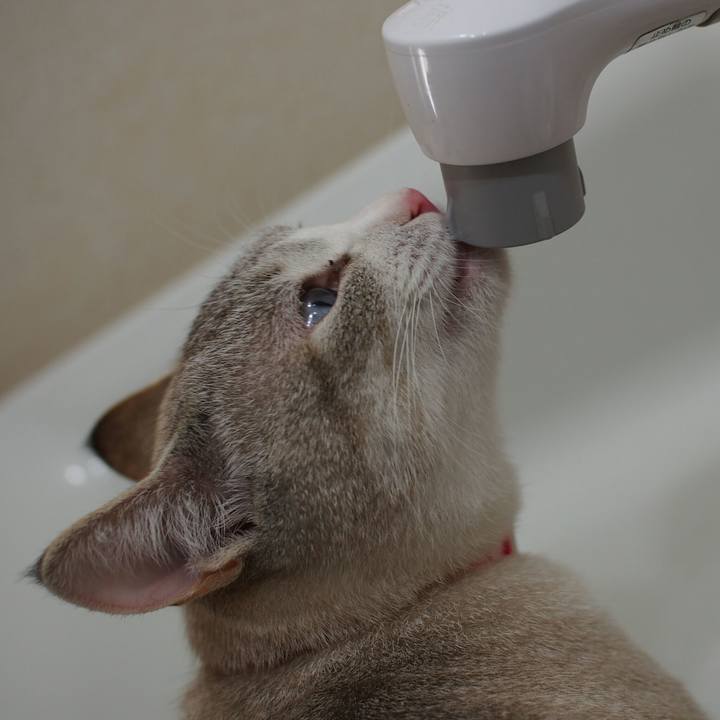 Bd99886e 54f2 4b17 81e9 03f056cf3769