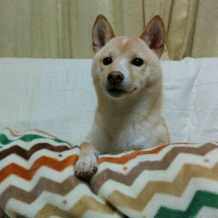 Bd9adea4 0ef5 41df 82ed a988b2dcfe71