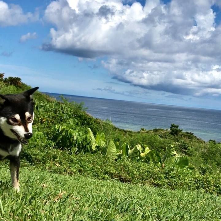 Bd9b5a8a 1a9a 4f89 a5a3 710f68ce1fef