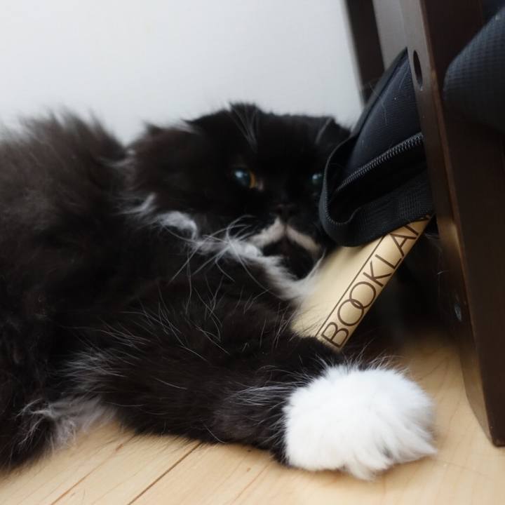 Bd9b938b 79be 4ca8 a5d6 77867297d633