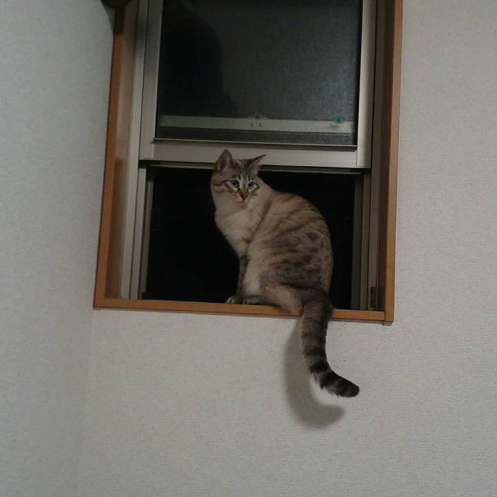 Bd9bec1b 9955 4ecc 807f 5f7926076f99