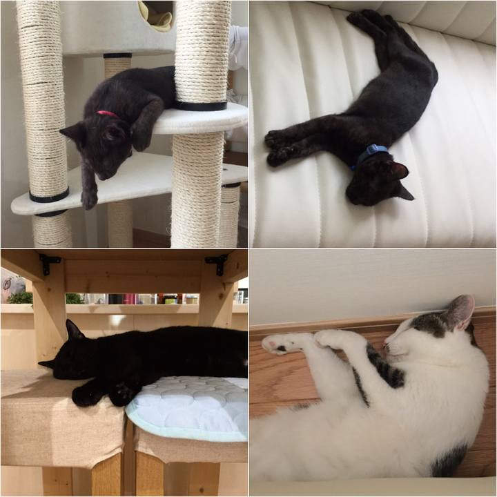 Bd9da42c 8b54 4a5a a7a2 90148f1ca192