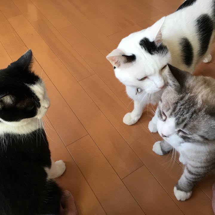 Bd9e5256 aea5 43eb a7be 150ef47e8726