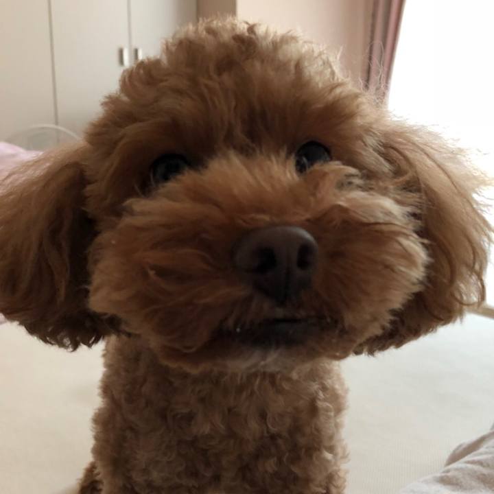 Bd9f30a5 69e5 4d22 b284 59b4f6505cd5