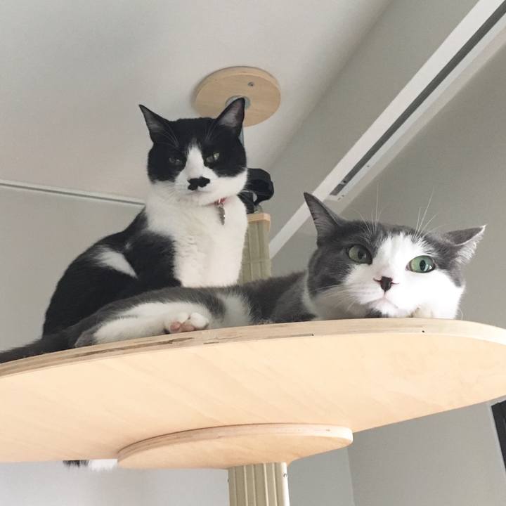 Bd9f85c2 5438 45eb be96 0bf9b051551f