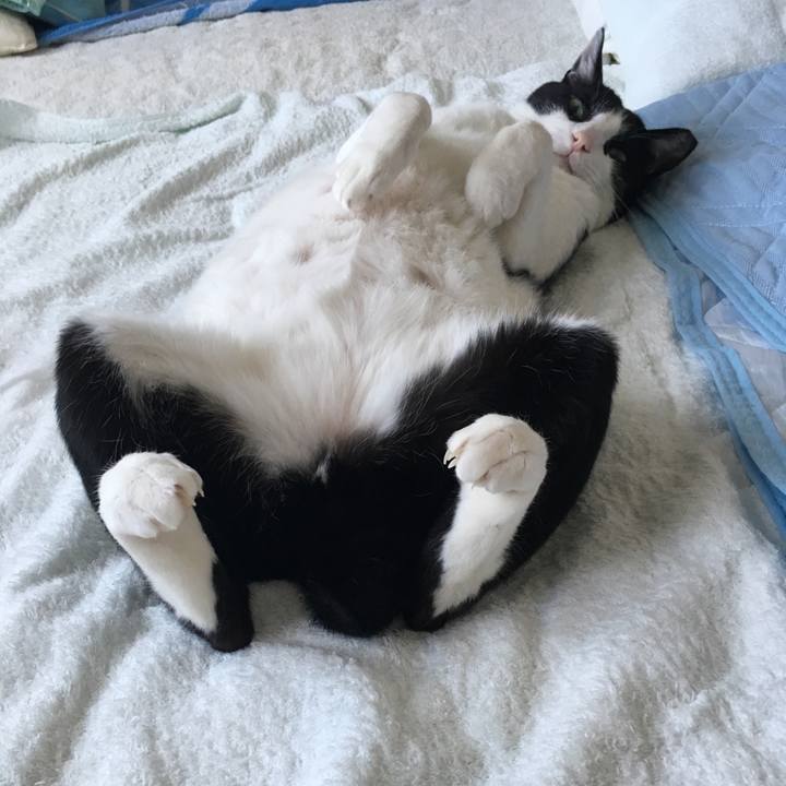 Bd9ff036 6444 4d4b 8855 a2fa59f1e369