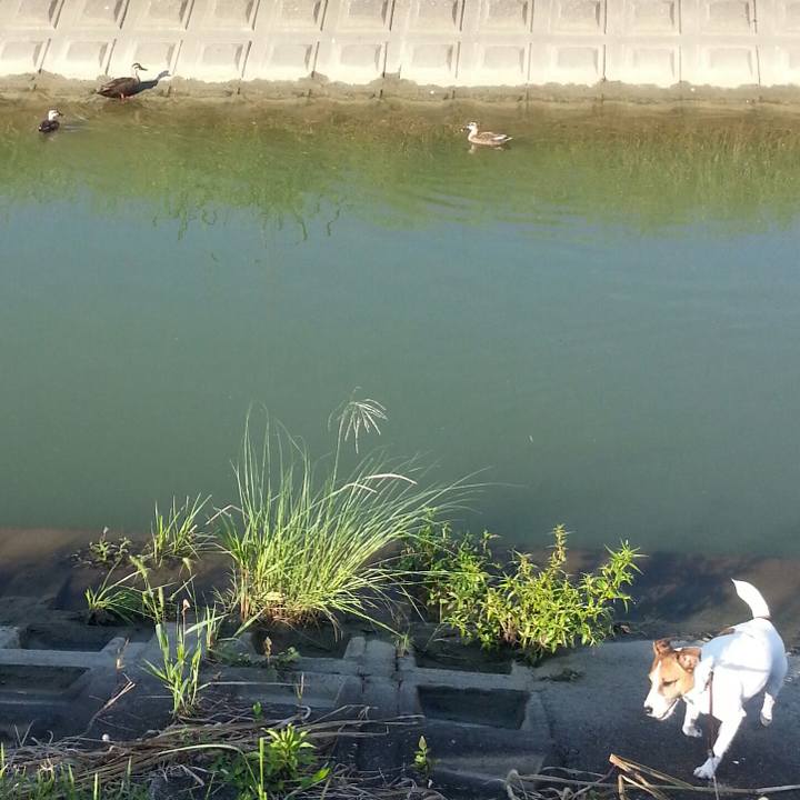 Bda01b3f bb4a 4419 8411 94306df59586