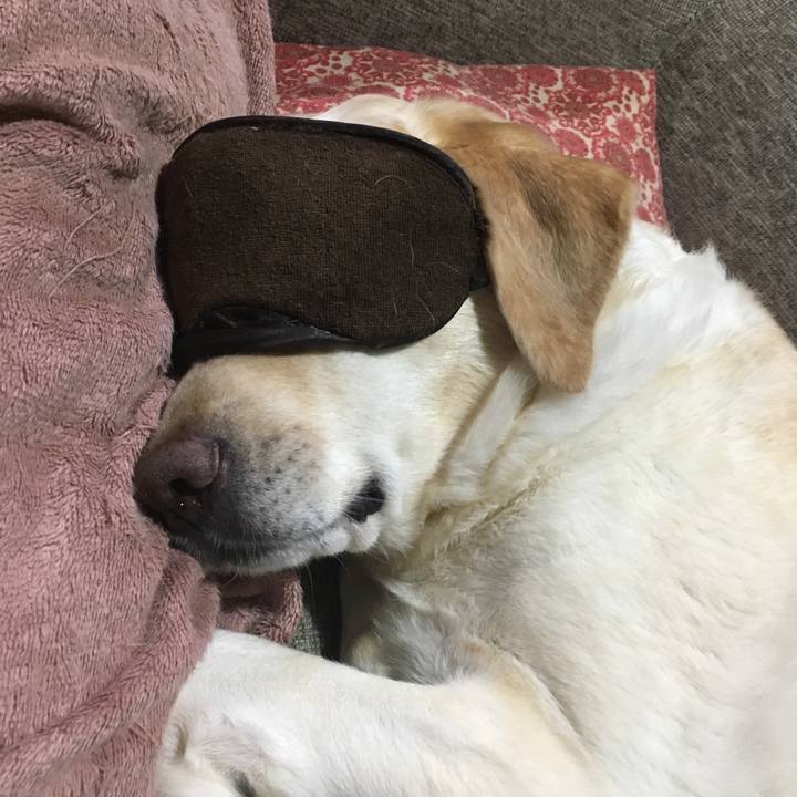 Bda06978 38e6 46a9 b3b8 4867e59e011c