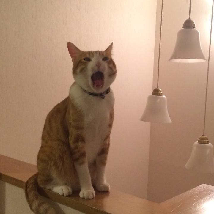 Bda0b2a6 e8ef 47ff 9c72 e61e0a0a74e3