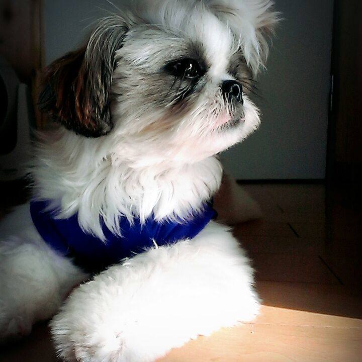 Bda16d62 75c7 49b4 9160 878fb8d30f7b