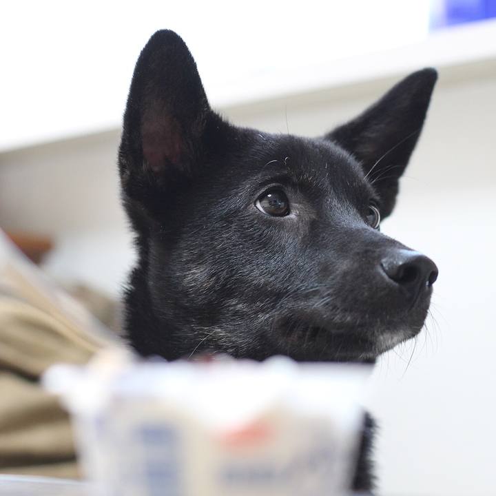 Bda16fcd aae5 4baf b12b 377055d1508a