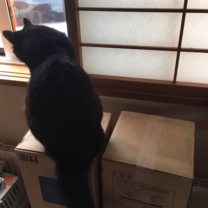 Bda25dcd 5ece 4297 b7ef 438abce8e2f7