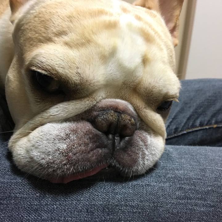 Bda35513 46a2 4329 9203 5ac9a234c0be