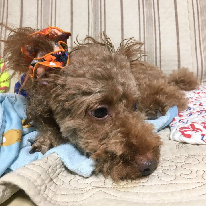 Bda36a5f 913e 42fc bd51 f4c271896252