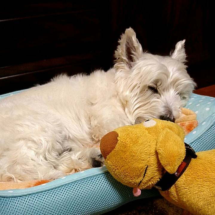 Bda375b5 bd3e 4c24 b226 66e4f5e18e96