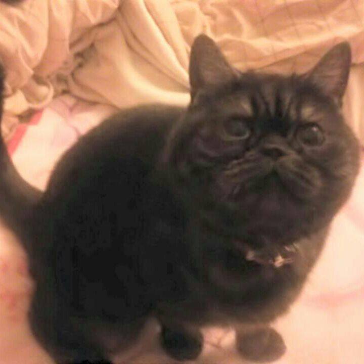 Bda39e12 7b21 4667 a8b8 14341f02675d