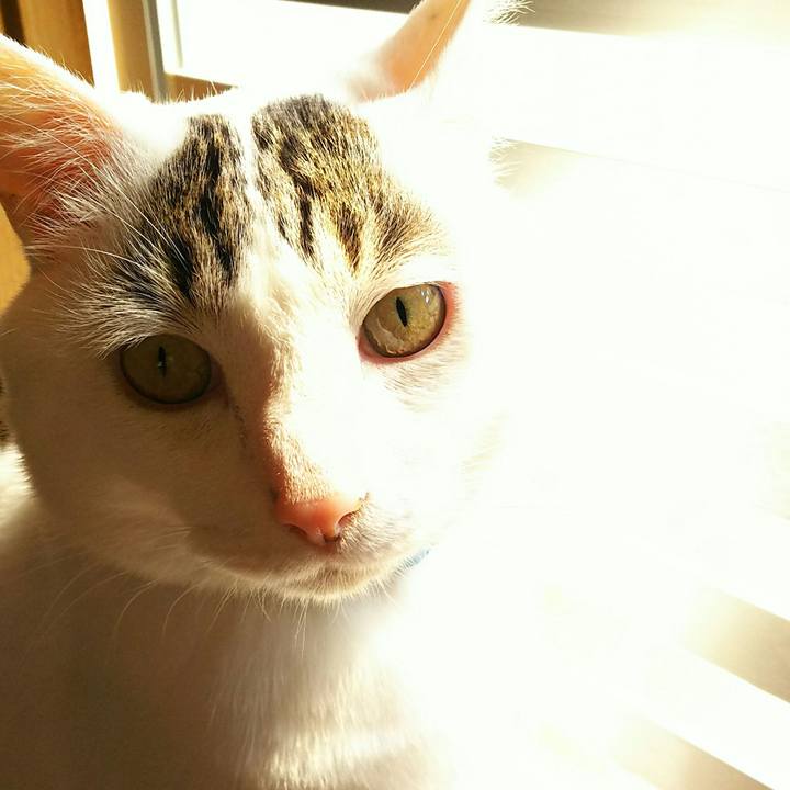 Bda44d46 9a73 4fdd 9393 bd75ba07fb4d