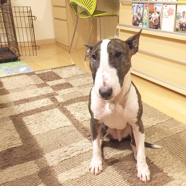 Bda47a1d 25f3 4a7d 8df5 28ce8b9b9afd