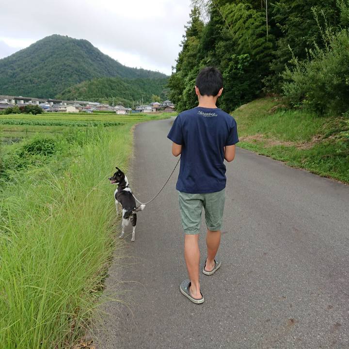 Bda4d562 9dfb 4ac5 94ad 8ce216123a62