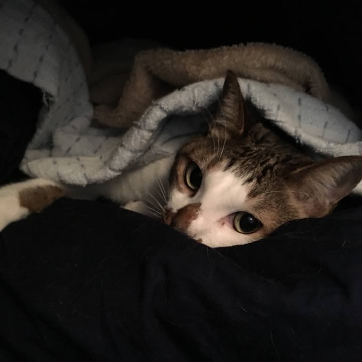 Bda63cbc 830d 47f9 b771 cd890717ac81