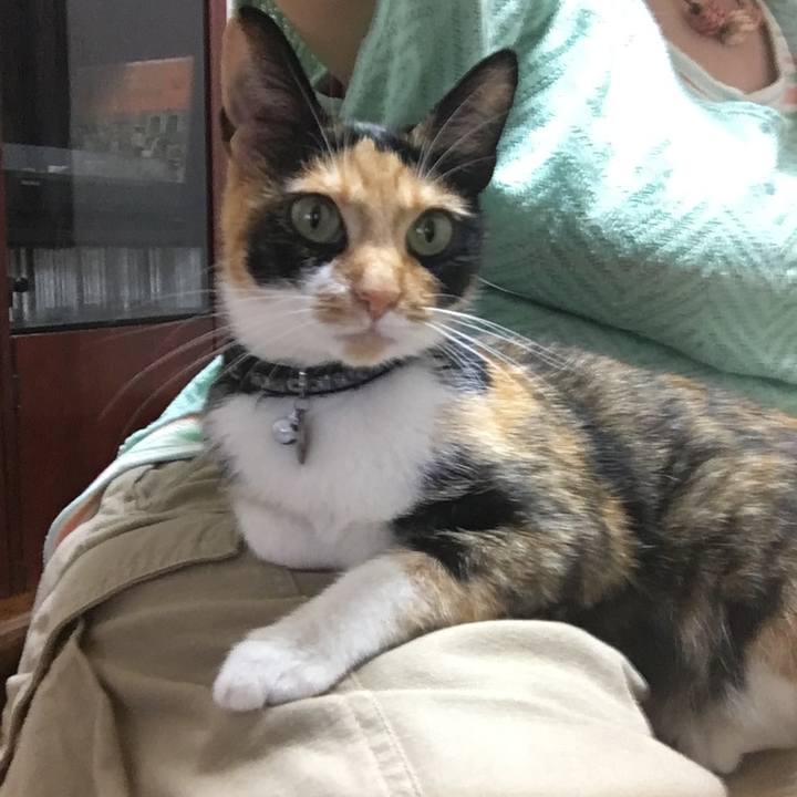 Bda804ee 52e6 4258 ae30 d74ff3645f2f