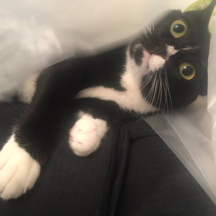 Bda82da1 19b0 4ff4 ba93 da0b7063e058