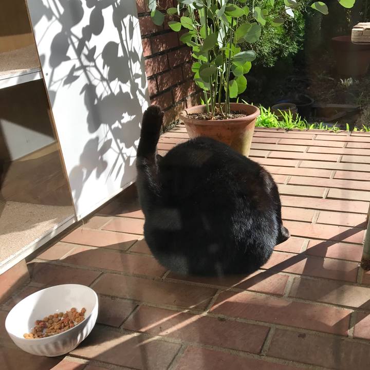 Bda9e14e 4744 4111 9f57 80db0d4ae5b2