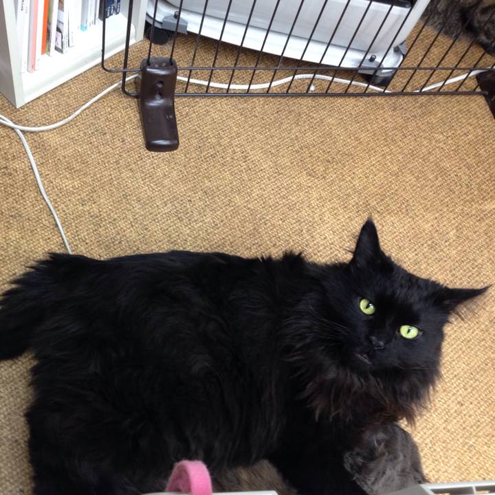 Bdaa6198 1f1e 4c11 86b0 78d48dbe71eb