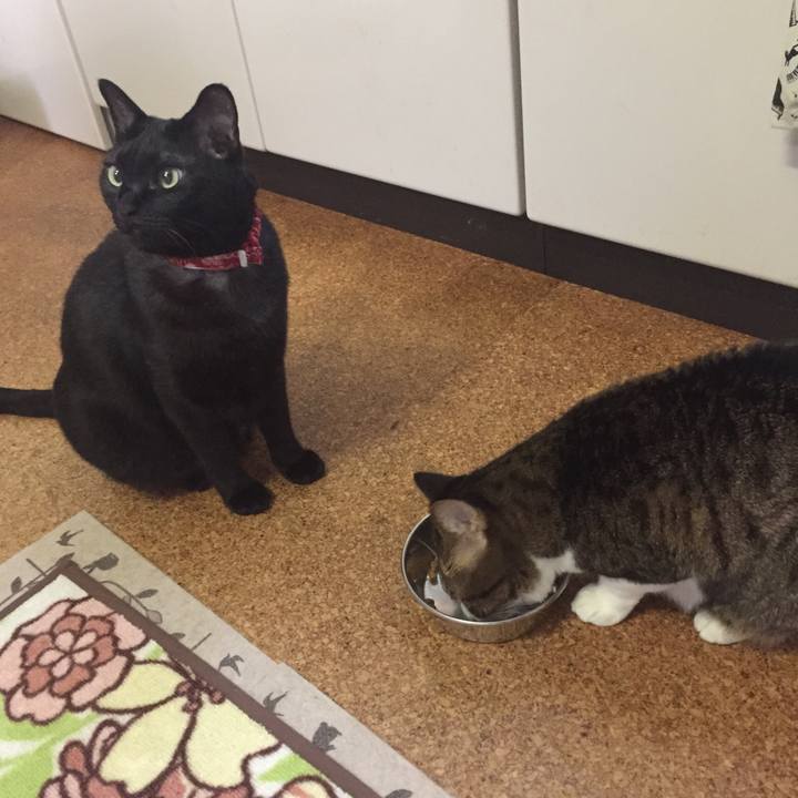 Bdaac396 2f1e 43c1 bf47 a977bac17854