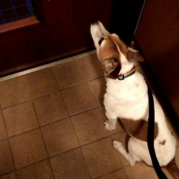 Bdab2a43 0101 4233 913f a28045e62541