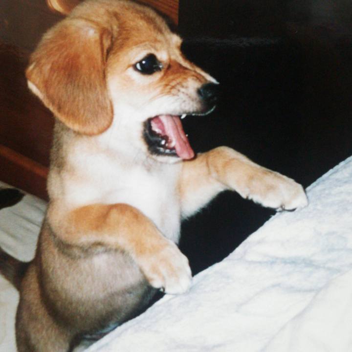 Bdab60e7 0ef6 43e7 b72c f0ea6b6c92bd