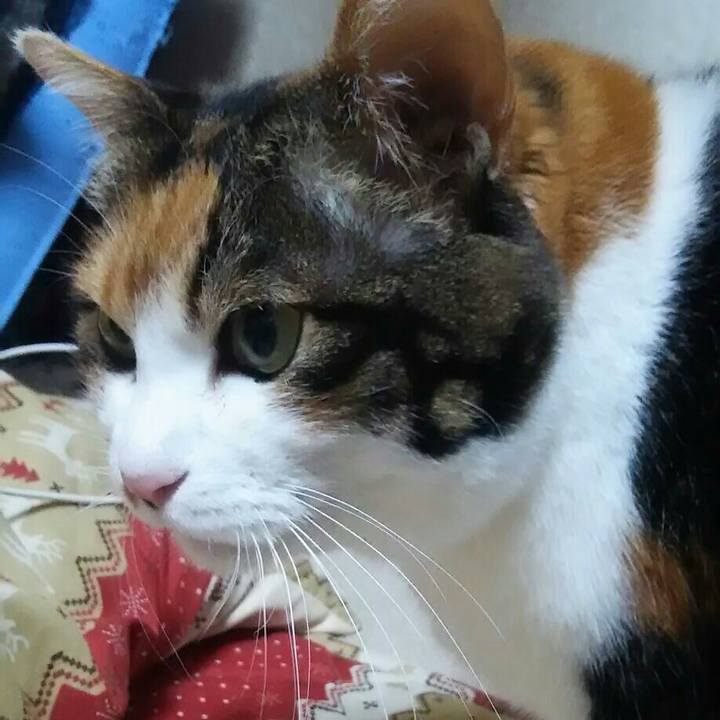 Bdabe603 2486 4cb8 80de a7fb9d5bd671