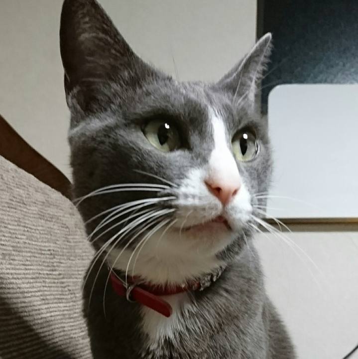 Bdac62fa 5842 44c0 b05d 5c1588445be7